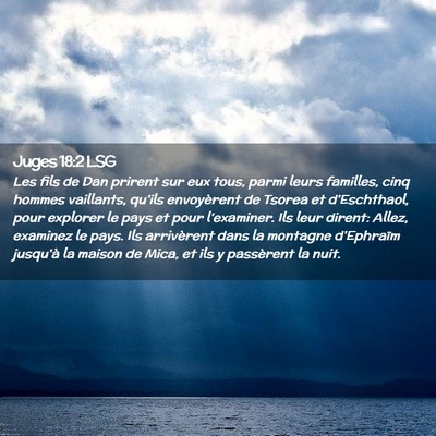 Picture 02 - Juges 18:2 LSG - Les fils de Dan prirent sur eux tous, parmi leurs - Bible Verse Picture