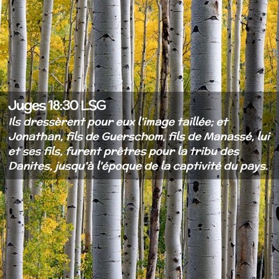 Picture 02 - Juges 18:30 LSG - Ils dressèrent pour eux l'image taillée; et - Bible Verse Picture