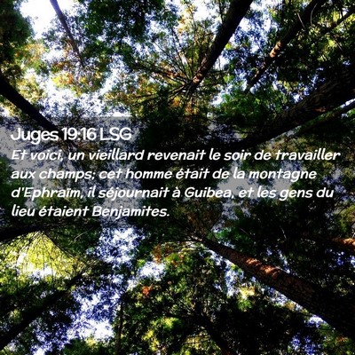 Picture 02 - Juges 19:16 LSG - Et voici, un vieillard revenait le soir de - Bible Verse Picture