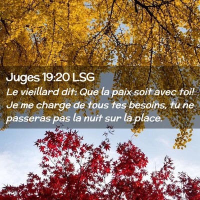 Picture 02 - Juges 19:20 LSG - Le vieillard dit: Que la paix soit avec toi! Je - Bible Verse Picture