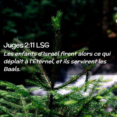 Picture 02 - Juges 2:11 LSG - Les enfants d'Israël firent alors ce qui - Bible Verse Picture