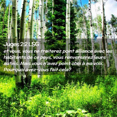 Picture 02 - Juges 2:2 LSG - et vous, vous ne traiterez point alliance avec - Bible Verse Picture