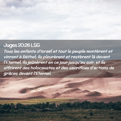 Picture 02 - Juges 20:26 LSG - Tous les enfants d'Israël et tout le peuple - Bible Verse Picture