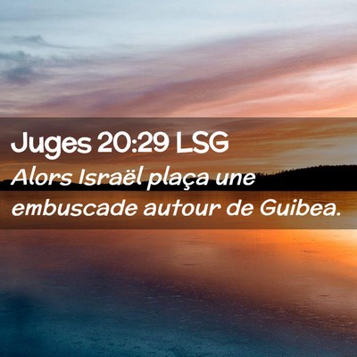 Picture 02 - Juges 20:29 LSG - Alors Israël plaça une embuscade autour de - Bible Verse Picture