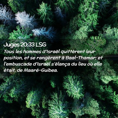 Picture 02 - Juges 20:33 LSG - Tous les hommes d'Israël quittèrent leur - Bible Verse Picture