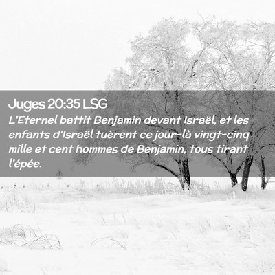 Picture 02 - Juges 20:35 LSG - L'Eternel battit Benjamin devant Israël, et les - Bible Verse Picture