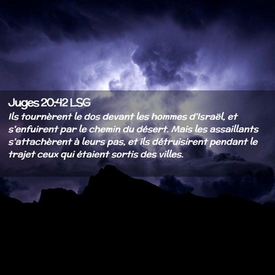 Picture 02 - Juges 20:42 LSG - Ils tournèrent le dos devant les hommes - Bible Verse Picture
