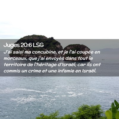 Picture 02 - Juges 20:6 LSG - J'ai saisi ma concubine, et je l'ai coupée en - Bible Verse Picture