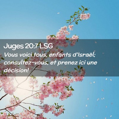 Picture 02 - Juges 20:7 LSG - Vous voici tous, enfants d'Israël; - Bible Verse Picture