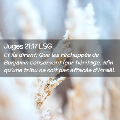 Picture 02 - Juges 21:17 LSG - Et ils dirent: Que les réchappés de Benjamin - Bible Verse Picture