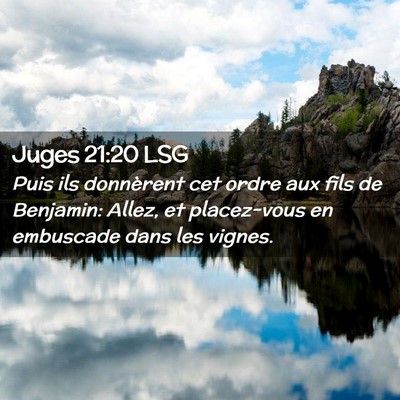 Picture 02 - Juges 21:20 LSG - Puis ils donnèrent cet ordre aux fils de - Bible Verse Picture