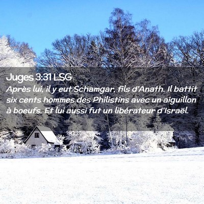 Picture 02 - Juges 3:31 LSG - Après lui, il y eut Schamgar, fils d'Anath. Il - Bible Verse Picture