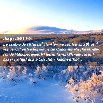 Picture 02 - Juges 3:8 LSG - La colère de l'Eternel s'enflamma contre - Bible Verse Picture