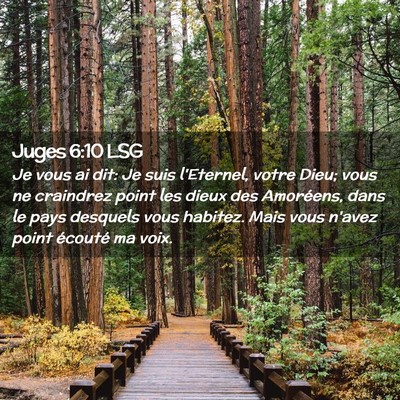 Picture 02 - Juges 6:10 LSG - Je vous ai dit: Je suis l'Eternel, votre Dieu; - Bible Verse Picture