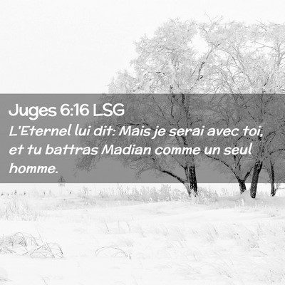 Picture 02 - Juges 6:16 LSG - L'Eternel lui dit: Mais je serai avec toi, et tu - Bible Verse Picture