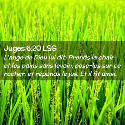 Picture 02 - Juges 6:20 LSG - L'ange de Dieu lui dit: Prends la chair et les - Bible Verse Picture