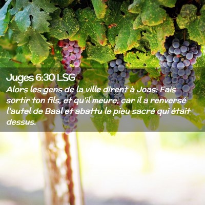 Picture 02 - Juges 6:30 LSG - Alors les gens de la ville dirent à Joas: Fais - Bible Verse Picture