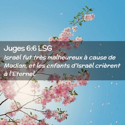 Picture 02 - Juges 6:6 LSG - Israël fut très malheureux à cause de Madian, - Bible Verse Picture
