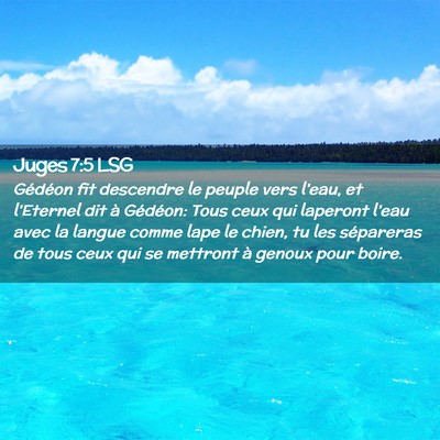 Picture 02 - Juges 7:5 LSG - Gédéon fit descendre le peuple vers l'eau, et - Bible Verse Picture