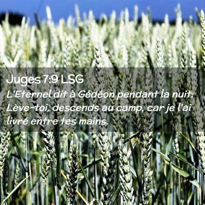 Picture 02 - Juges 7:9 LSG - L'Eternel dit à Gédéon pendant la nuit: - Bible Verse Picture