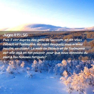 Picture 02 - Juges 8:15 LSG - Puis il vint auprès des gens de Succoth, et dit: - Bible Verse Picture