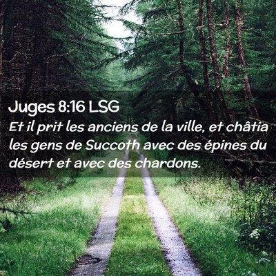 Picture 02 - Juges 8:16 LSG - Et il prit les anciens de la ville, et châtia - Bible Verse Picture
