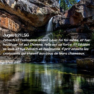 Picture 02 - Juges 8:21 LSG - Zébach et Tsalmunna dirent: Lève-toi toi-même, - Bible Verse Picture