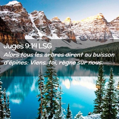 Picture 02 - Juges 9:14 LSG - Alors tous les arbres dirent au buisson - Bible Verse Picture