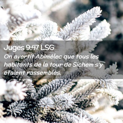 Picture 02 - Juges 9:47 LSG - On avertit Abimélec que tous les habitants de la - Bible Verse Picture