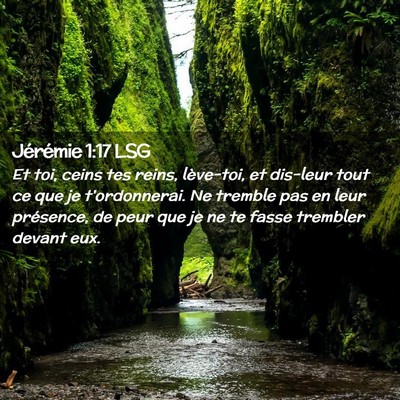 Picture 02 - Jérémie 1:17 LSG - Et toi, ceins tes reins, lève-toi, et dis-leur - Bible Verse Picture