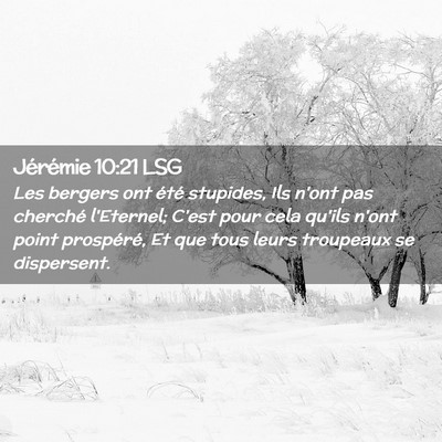 Picture 02 - Jérémie 10:21 LSG - Les bergers ont été stupides, Ils n'ont pas - Bible Verse Picture