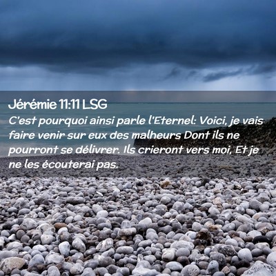 Picture 02 - Jérémie 11:11 LSG - C'est pourquoi ainsi parle l'Eternel: Voici, je - Bible Verse Picture