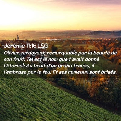 Picture 02 - Jérémie 11:16 LSG - Olivier verdoyant, remarquable par la beauté de - Bible Verse Picture
