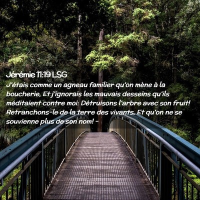Picture 02 - Jérémie 11:19 LSG - J'étais comme un agneau familier qu'on mène à - Bible Verse Picture