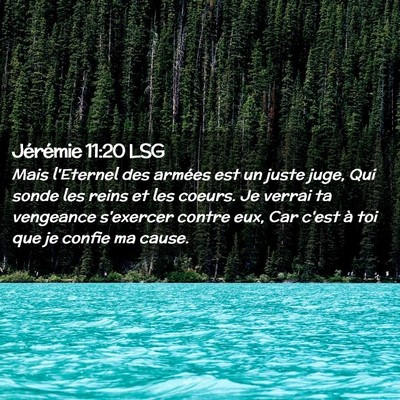 Picture 02 - Jérémie 11:20 LSG - Mais l'Eternel des armées est un juste juge, Qui - Bible Verse Picture