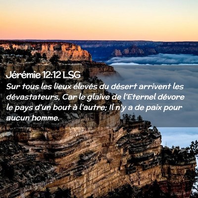 Picture 02 - Jérémie 12:12 LSG - Sur tous les lieux élevés du désert arrivent - Bible Verse Picture