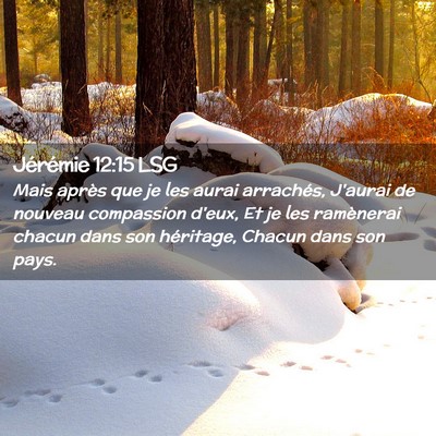 Picture 02 - Jérémie 12:15 LSG - Mais après que je les aurai arrachés, J'aurai - Bible Verse Picture