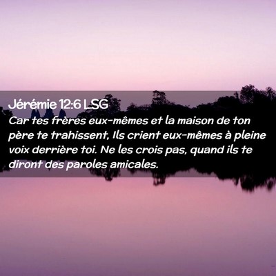 Picture 02 - Jérémie 12:6 LSG - Car tes frères eux-mêmes et la maison de ton - Bible Verse Picture