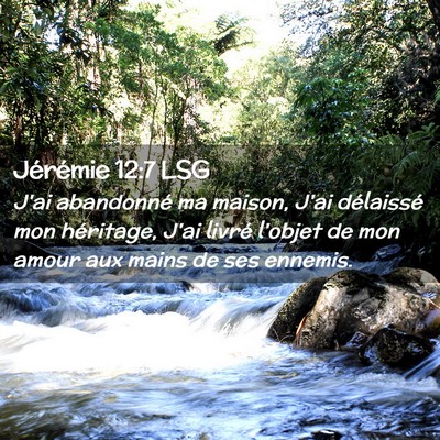 Picture 02 - Jérémie 12:7 LSG - J'ai abandonné ma maison, J'ai délaissé mon - Bible Verse Picture