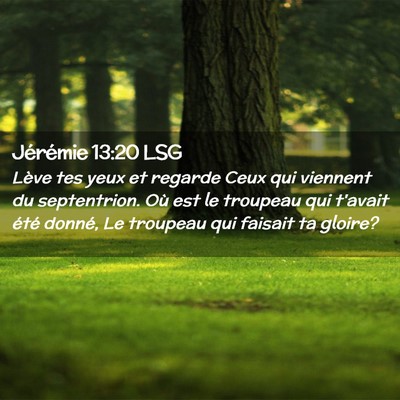 Picture 02 - Jérémie 13:20 LSG - Lève tes yeux et regarde Ceux qui viennent du - Bible Verse Picture