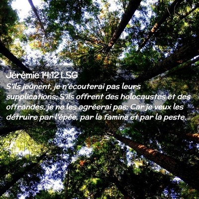Picture 02 - Jérémie 14:12 LSG - S'ils jeûnent, je n'écouterai pas leurs - Bible Verse Picture
