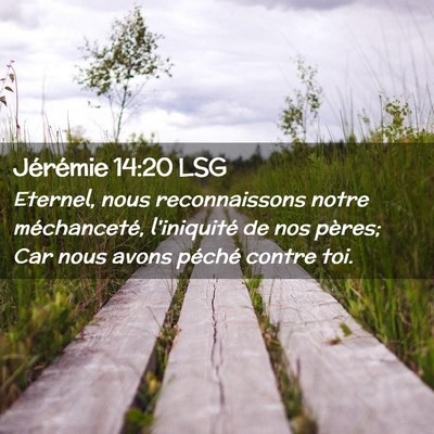 Picture 02 - Jérémie 14:20 LSG - Eternel, nous reconnaissons notre méchanceté, - Bible Verse Picture