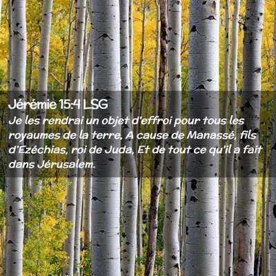 Picture 02 - Jérémie 15:4 LSG - Je les rendrai un objet d'effroi pour tous les - Bible Verse Picture