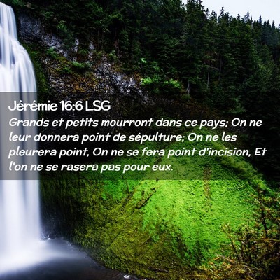 Picture 02 - Jérémie 16:6 LSG - Grands et petits mourront dans ce pays; On ne - Bible Verse Picture