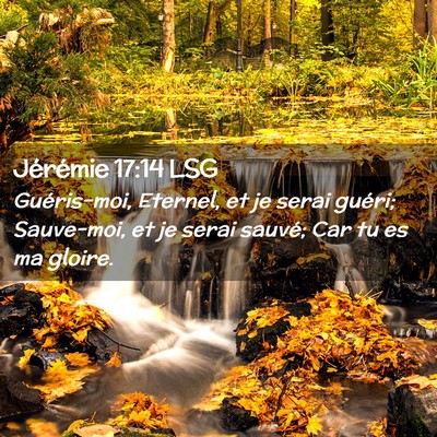 Picture 02 - Jérémie 17:14 LSG - Guéris-moi, Eternel, et je serai guéri; - Bible Verse Picture