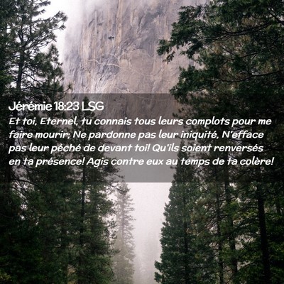 Picture 02 - Jérémie 18:23 LSG - Et toi, Eternel, tu connais tous leurs complots - Bible Verse Picture