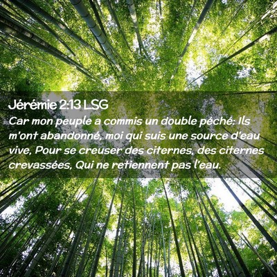 Picture 02 - Jérémie 2:13 LSG - Car mon peuple a commis un double péché: Ils - Bible Verse Picture