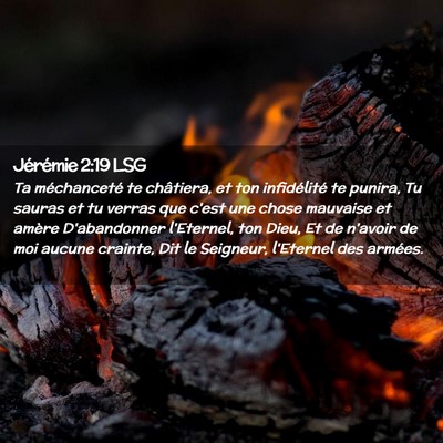 Picture 02 - Jérémie 2:19 LSG - Ta méchanceté te châtiera, et ton infidélité - Bible Verse Picture