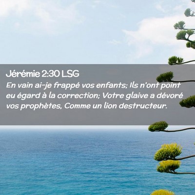 Picture 02 - Jérémie 2:30 LSG - En vain ai-je frappé vos enfants; Ils n'ont - Bible Verse Picture