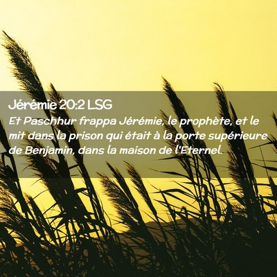 Picture 02 - Jérémie 20:2 LSG - Et Paschhur frappa Jérémie, le prophète, et le - Bible Verse Picture